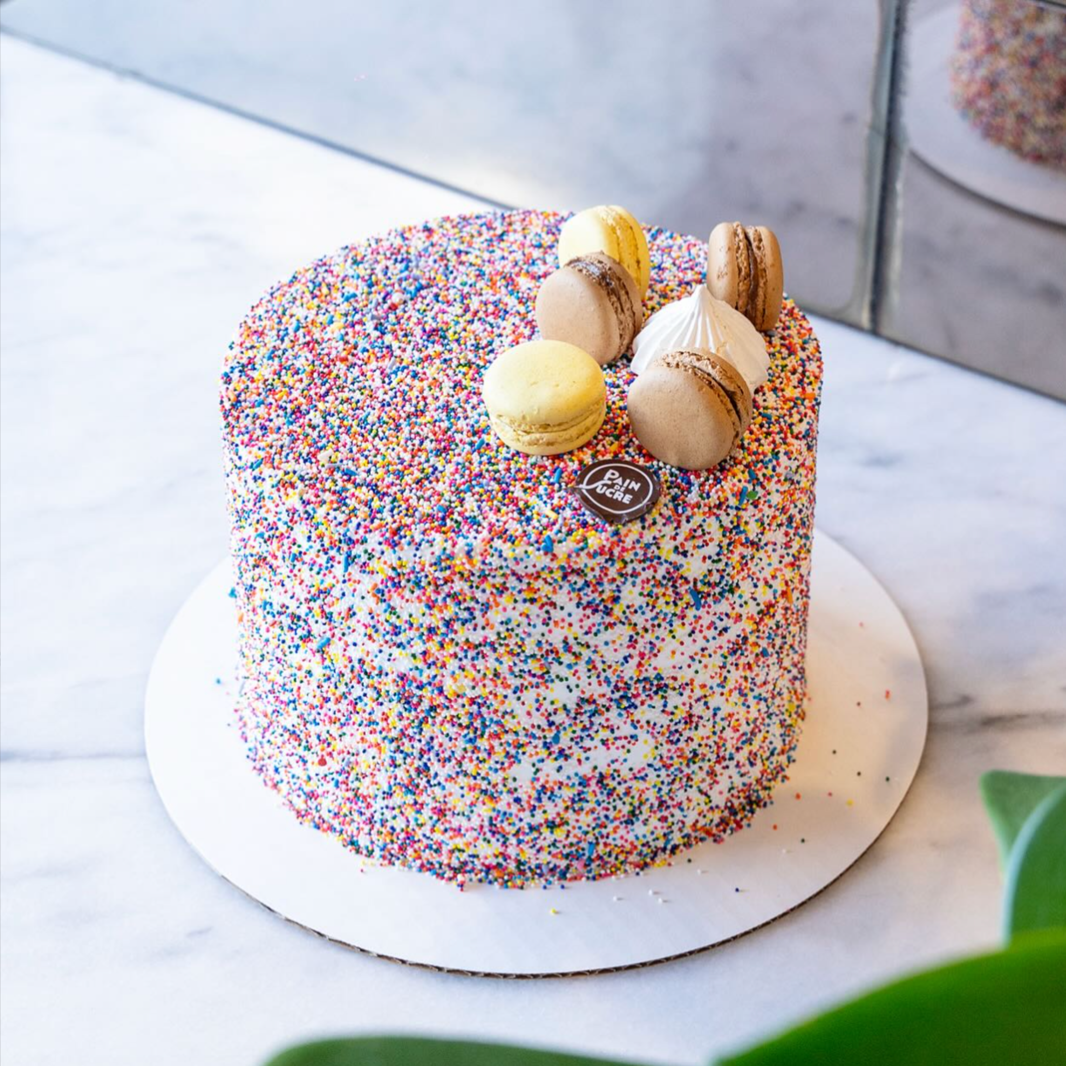 Sprinkles N' Macarons Cake